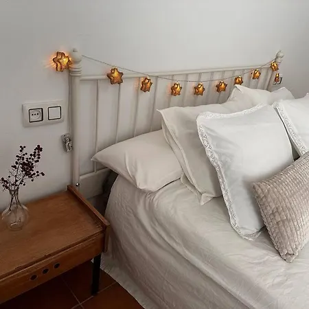 La Casa Azul. Centro Apartment